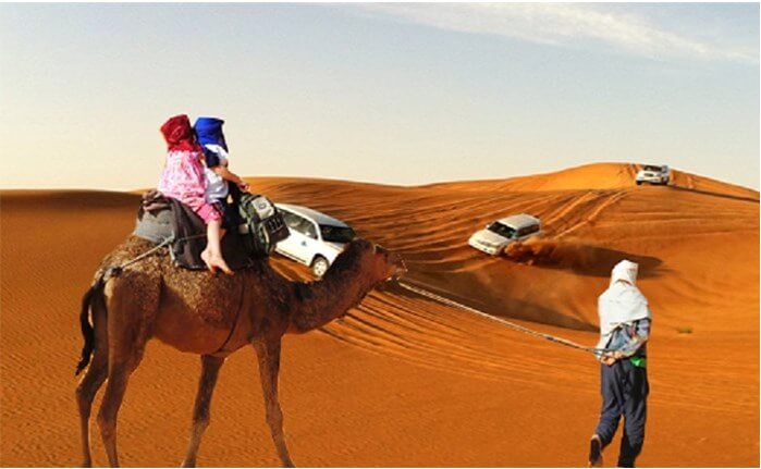 Best Morning Desert Safaris In Dubai