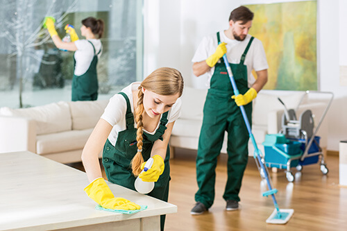 Various Kinds of House Cleaning Services